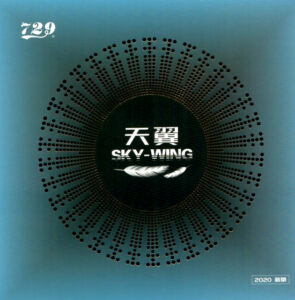 Friendship 729 Sky Wing-0