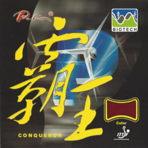 Palio Conqueror-0