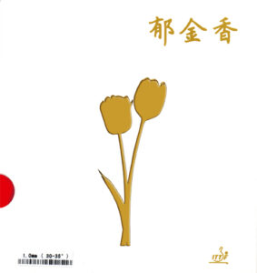 Tulpe China Schwamm 30-35 Grad-0