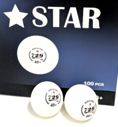 100 Friendship * Trainingsbälle ABS Plastik weiß